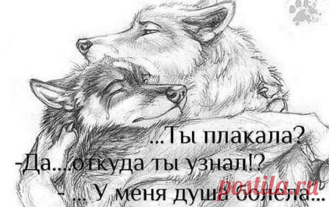 Жизнь похожа на шведский стол..