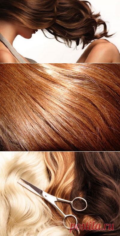 1001 полезный совет: Самые эффективные витамины для роста волос