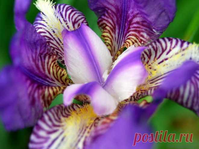 142719984_196.jpg (700×525)