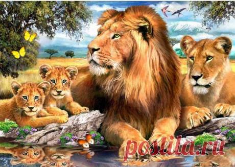 Одноклассники