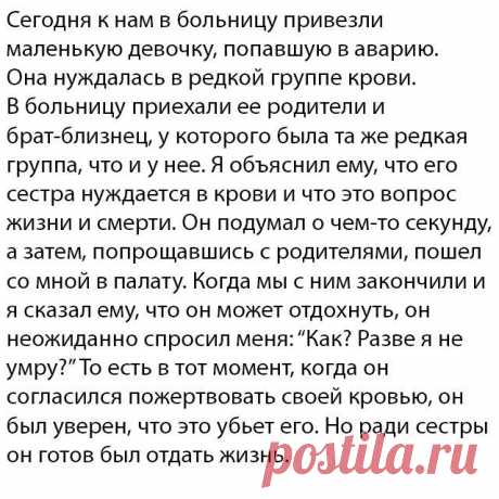 Интересные факты