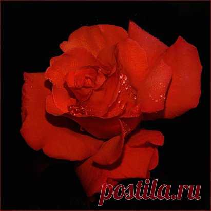 (22) Одноклассники