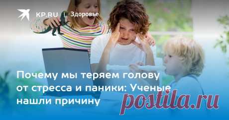 Почему мы теряем голову от стресса и паники: Ученые нашли причину Ученые впервые исследовали генетическую предрасположенность к психозу на близнецах