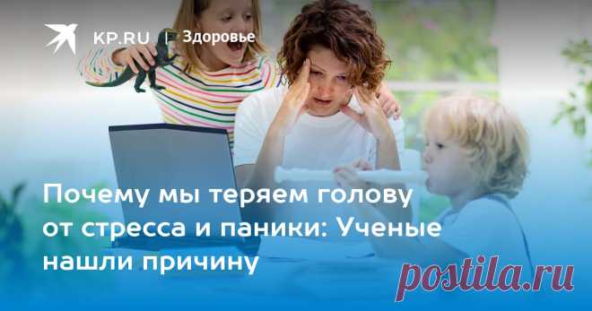 Почему мы теряем голову от стресса и паники: Ученые нашли причину Ученые впервые исследовали генетическую предрасположенность к психозу на близнецах