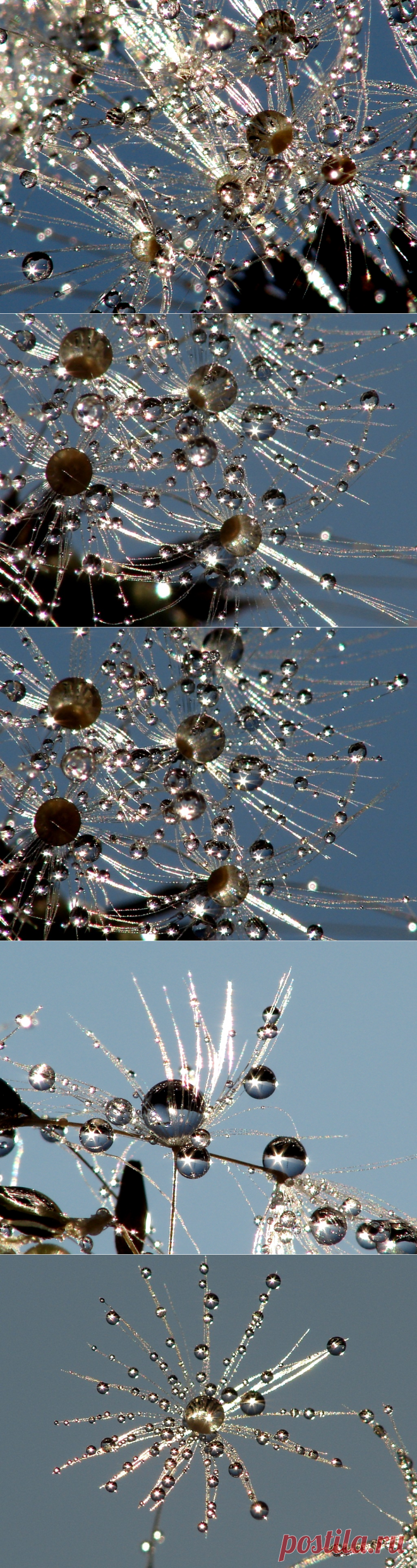 Яндекс.Фотки