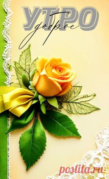 С добрым утром Привет Здрасте