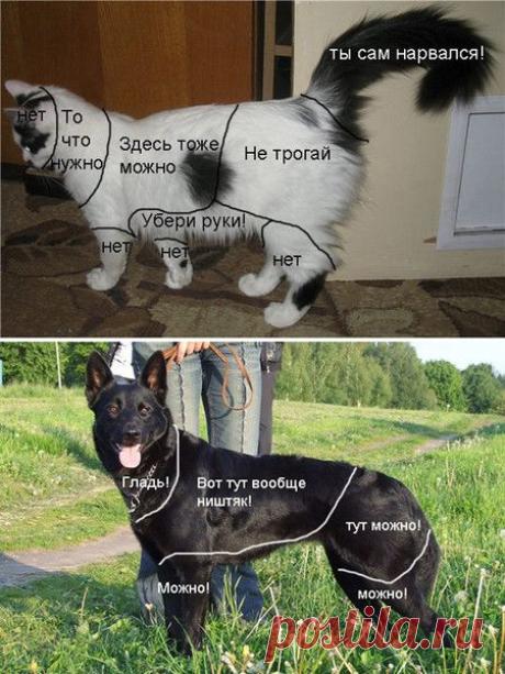 Улыбка до ушей - Группы Мой Мир