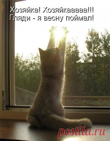 Я весну поймал!!!