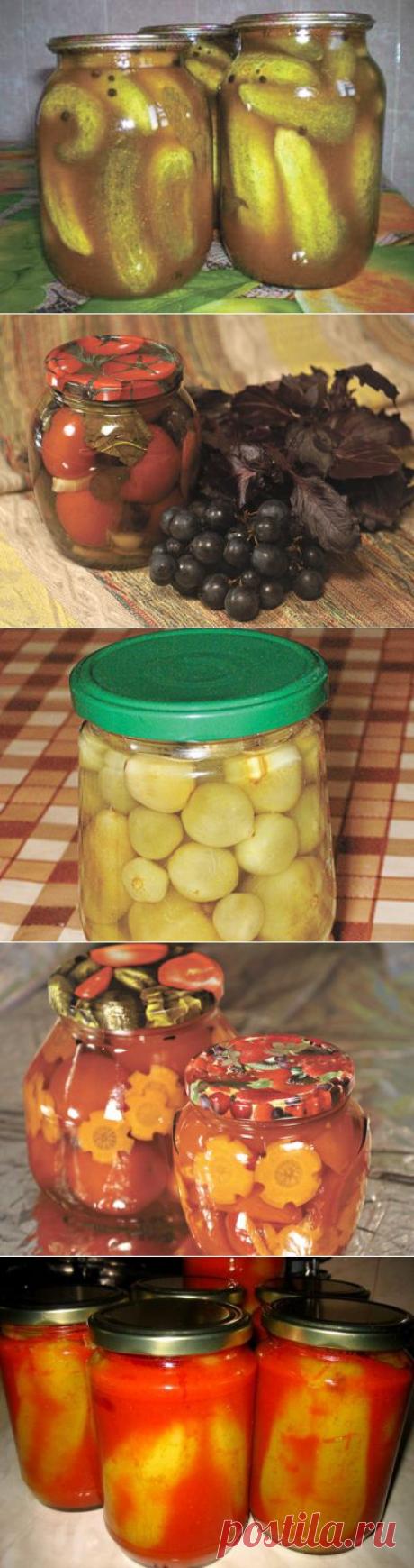 Консервируем урожай. Идеи домашних заготовок | ДОСТОЙНАЯ ЖИЗНЬ НА ПЕНСИИ
Урожай собран – теперь дело за тем, чтобы его сохранить! И не просто сохранить, а превратить во вкусные и полезные блюда. Делимся..