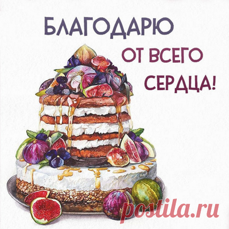 С благодарностью огромной
Вам хочу сейчас сказать,
Что таких, как Вы, хороших
В целом мире не сыскать!