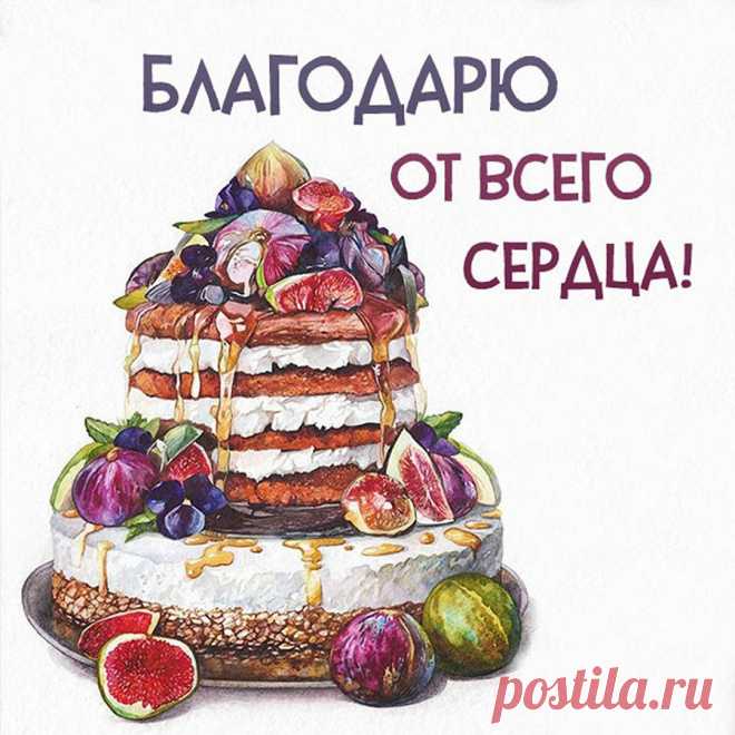 С благодарностью огромной
Вам хочу сейчас сказать,
Что таких, как Вы, хороших
В целом мире не сыскать!
