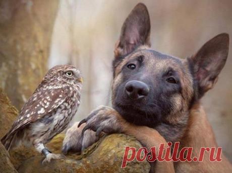 Расскажи еще что-нибудь, мне интересно...