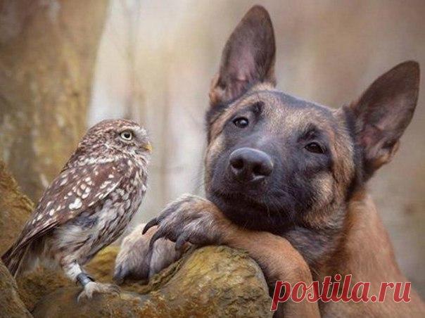 Расскажи еще что-нибудь, мне интересно...