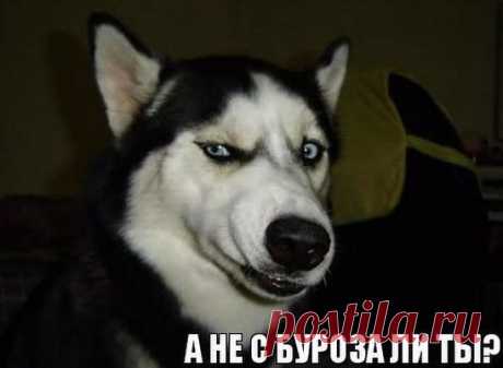 (40) Одноклассники