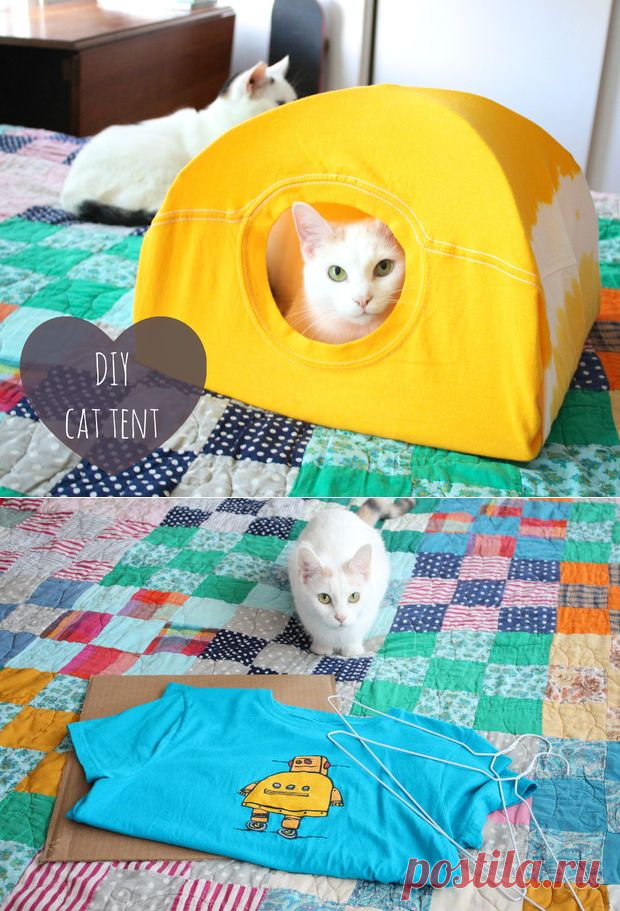 Домик для кота