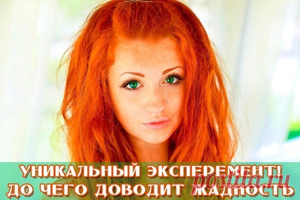 (3) Мой Мир@Mail.Ru