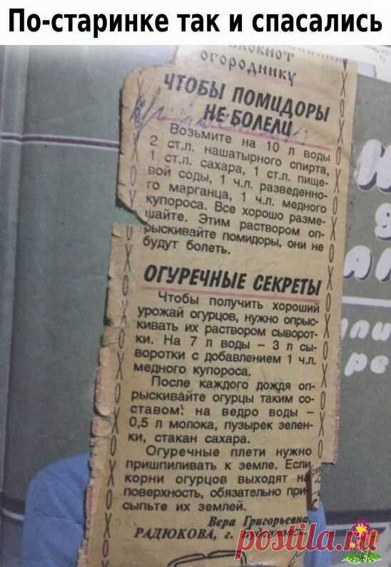 Нина Мигачева (Артюхина)
