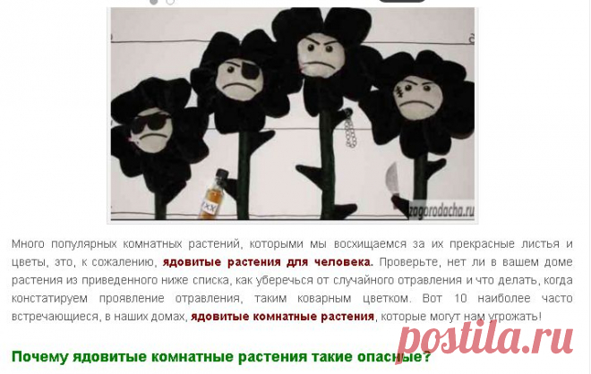 ядовитые комнатные растения