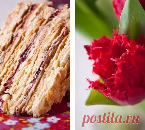 Степка-растрепка