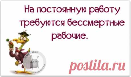 Правда Жизни | Юмор, Мотивация, Сарказм, Цитаты