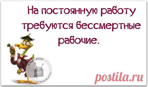 Правда Жизни | Юмор, Мотивация, Сарказм, Цитаты
