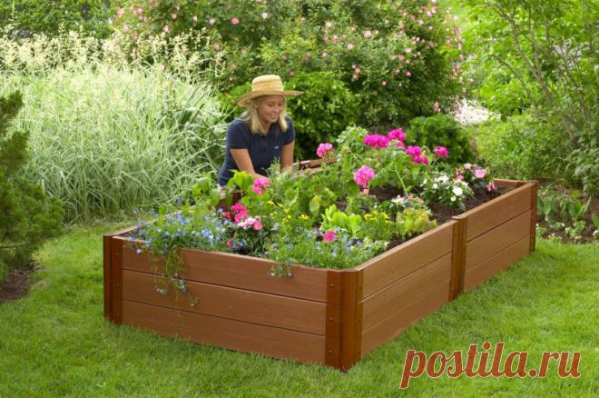 Красивые грядки на огороде и в саду: фото идеи - как сделать своими руками