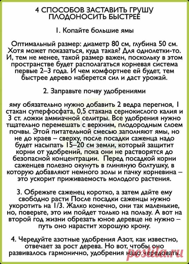 Яндекс Картинки: поиск похожих изображений