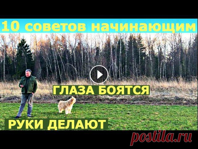 Новый участок с чего начать? 10 советов для начинающих огородников. Помощь каналу, карта Сбербанка 4276 3800 7513 3459 На канале: Наталья Сморчкова и ...
