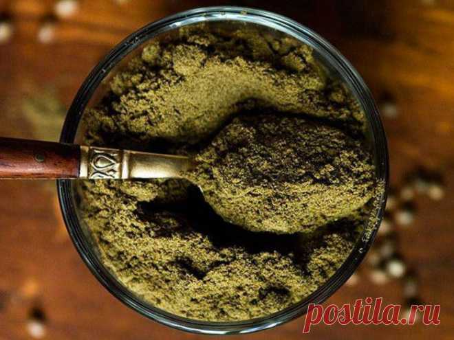 Конопля — запрещенный рецепт здоровья