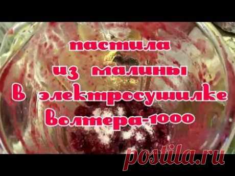 Пастила из малины в электросушилке ВОЛТЕРА 1000.Pastillas raspberry - YouTube