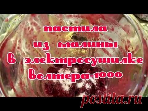 Пастила из малины в электросушилке ВОЛТЕРА 1000.Pastillas raspberry - YouTube