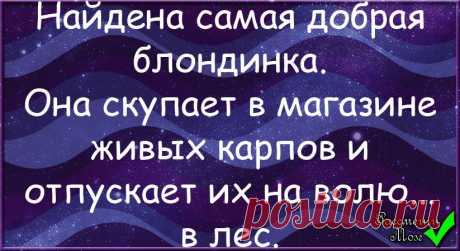 Анекдоты