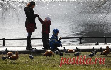 ЛДПР предложила ввести дополнительные выходные для родителей двоих и более детей. Авторы инициативы считают, что эта мера даст многодетным родителям больше свободного времени для общения с детьми