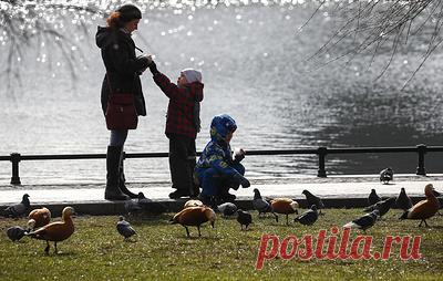 ЛДПР предложила ввести дополнительные выходные для родителей двоих и более детей. Авторы инициативы считают, что эта мера даст многодетным родителям больше свободного времени для общения с детьми