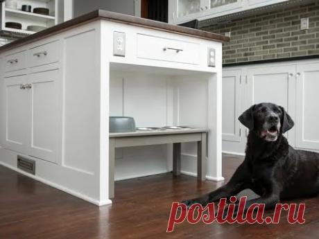 Питомцы на кухне