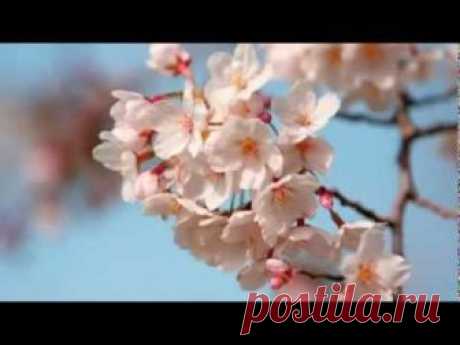 Божий Дар каждому Знаку Зодиака! А какой достался вам?