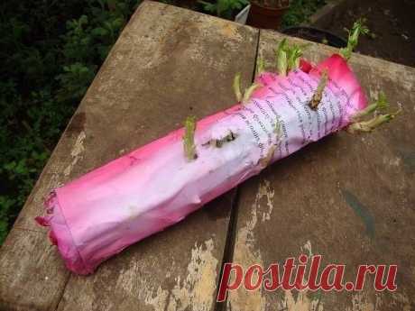 2 непрочитанных чата