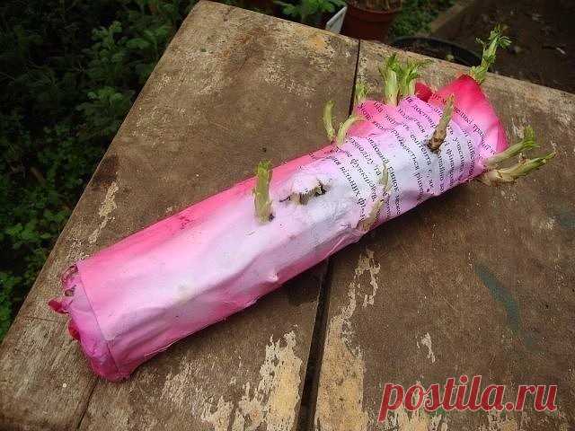 2 непрочитанных чата
