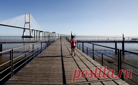 Португалия перестанет выдавать «золотые визы». Для россиян выдача «золотых виз» прекратилась еще в феврале 2022 года. Программа получения ВНЖ в обмен на инвестиции была запущена в 2012 году, ей воспользовались 11,5 тыс. иностранцев, половина из которых — граждане Китая