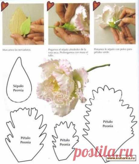 (1232) Pinterest