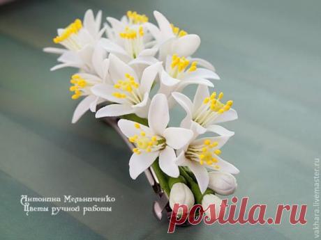 Нежные цветы из холодного фарфора | Рукоделие