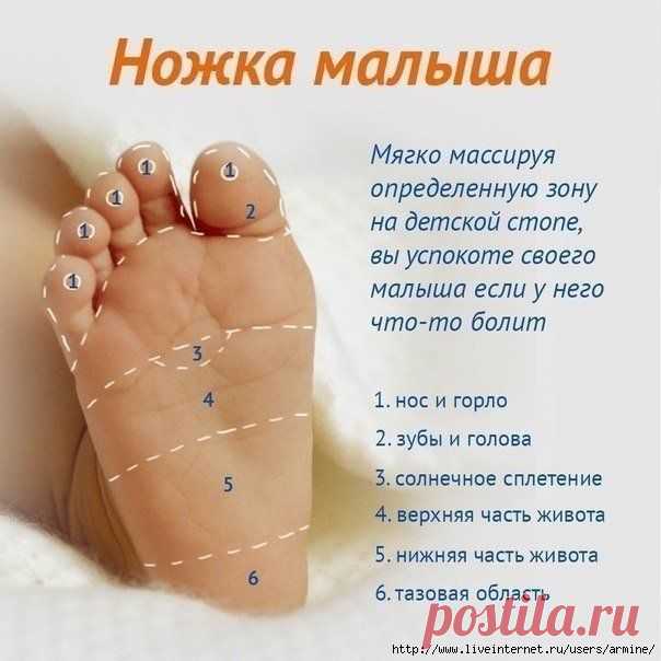 Массируя ступню малыша, можно воздействовать на проблемные зоны организма.