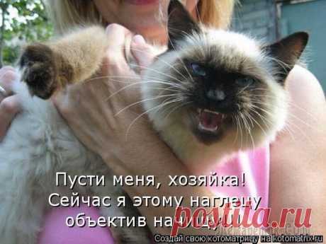 АНЕКДОТЫ...