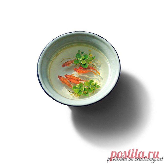 Жидкие трехмерные картины Кен Ли (13 фото) | Страница 2 | Креативные фотографии