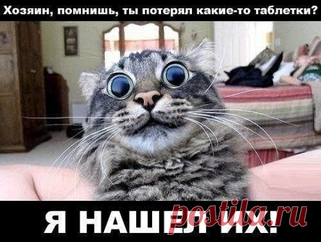 (49) Одноклассники