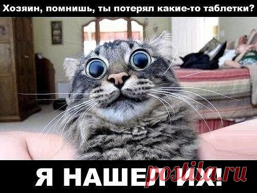 (49) Одноклассники