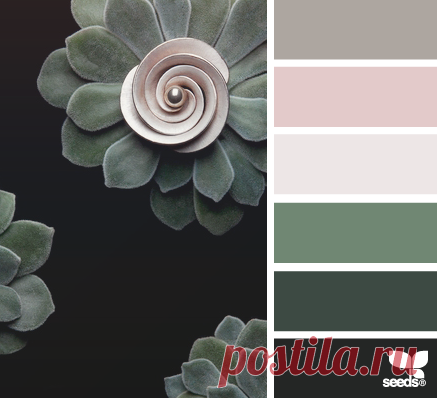 Цветы, деревья — источник вдохновения! | BepHuK собирает друзей