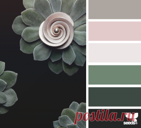 Цветы, деревья — источник вдохновения! | BepHuK собирает друзей