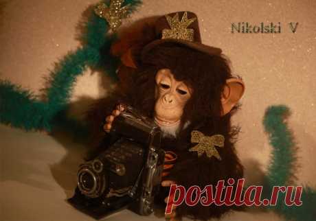Новые фотографии