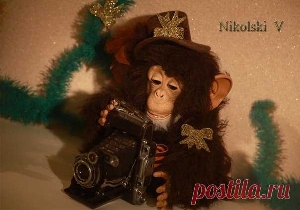 Новые фотографии